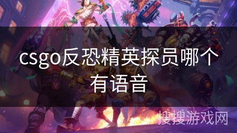 csgo反恐精英探员哪个有语音