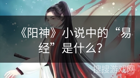 《阳神》小说中的“易经”是什么？