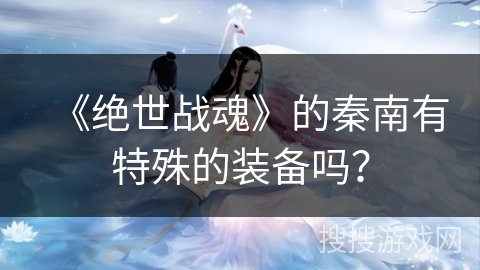 《绝世战魂》的秦南有特殊的装备吗？