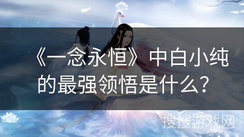 《一念永恒》中白小纯的最强领悟是什么？