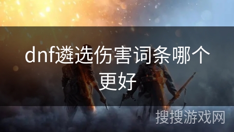 dnf遴选伤害词条哪个更好