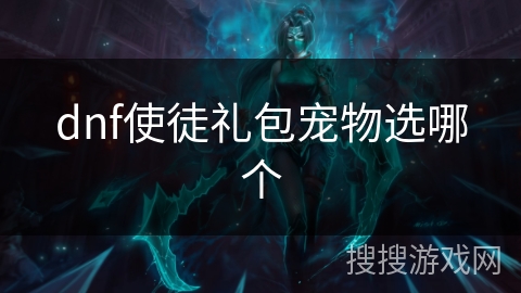 dnf使徒礼包宠物选哪个
