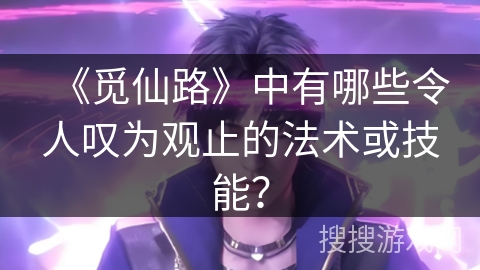 《觅仙路》中有哪些令人叹为观止的法术或技能？