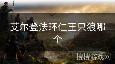 艾尔登法环仁王只狼哪个