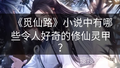 《觅仙路》小说中有哪些令人好奇的修仙灵甲？