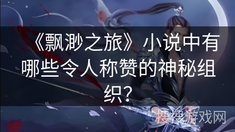 《飘渺之旅》小说中有哪些令人称赞的神秘组织？
