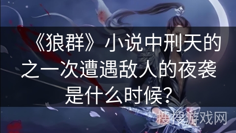 《狼群》小说中刑天的之一次遭遇敌人的夜袭是什么时候？