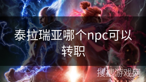 泰拉瑞亚哪个npc可以转职