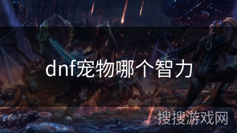 dnf宠物哪个智力