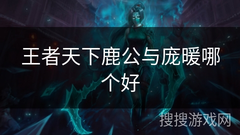 王者天下鹿公与庞暖哪个好