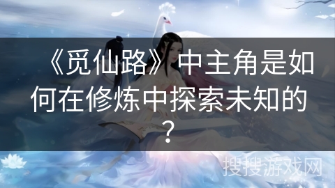 《觅仙路》中主角是如何在修炼中探索未知的？