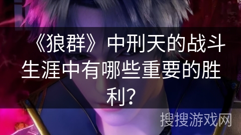 《狼群》中刑天的战斗生涯中有哪些重要的胜利？