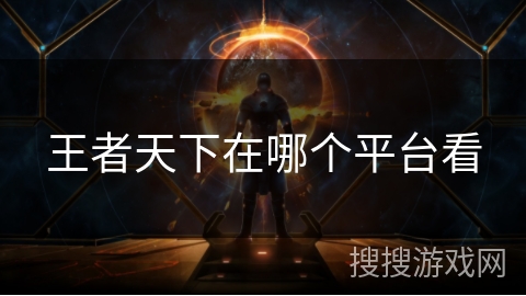 王者天下在哪个平台看