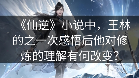 《仙逆》小说中，王林的之一次感悟后他对修炼的理解有何改变？