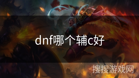 dnf哪个辅c好