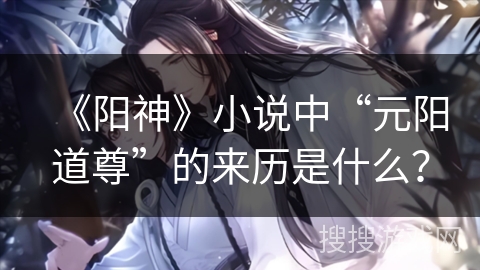 《阳神》小说中“元阳道尊”的来历是什么？