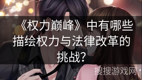 《权力巅峰》中有哪些描绘权力与法律改革的挑战？