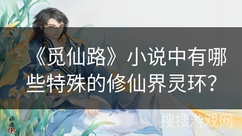 《觅仙路》小说中有哪些特殊的修仙界灵环？