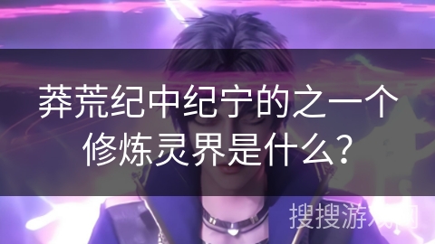 莽荒纪中纪宁的之一个修炼灵界是什么？