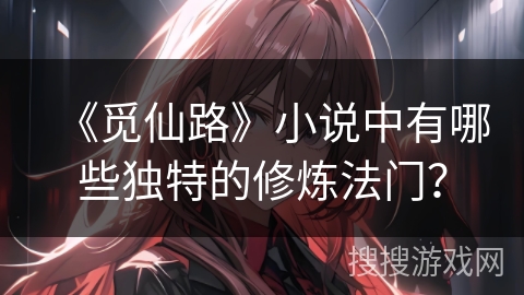 《觅仙路》小说中有哪些独特的修炼法门？