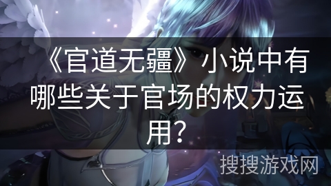 《官道无疆》小说中有哪些关于官场的权力运用？