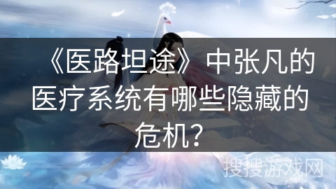 《医路坦途》中张凡的医疗系统有哪些隐藏的危机？