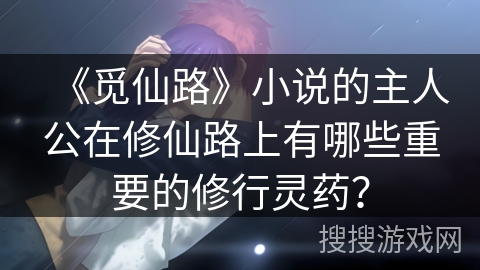 《觅仙路》小说的主人公在修仙路上有哪些重要的修行灵药？