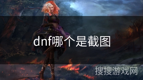 dnf哪个是截图