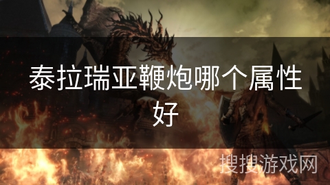 泰拉瑞亚鞭炮哪个属性好