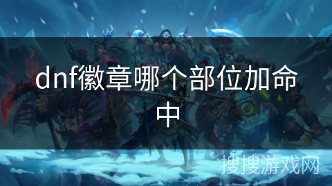 dnf徽章哪个部位加命中