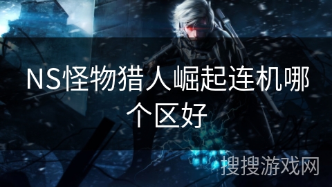 NS怪物猎人崛起连机哪个区好