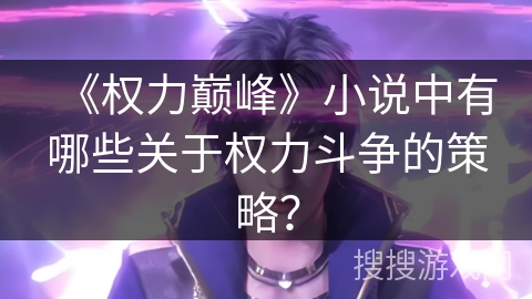 《权力巅峰》小说中有哪些关于权力斗争的策略？