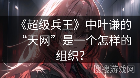 《超级兵王》中叶谦的“天网”是一个怎样的组织？