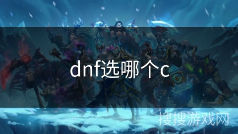 dnf选哪个c