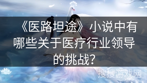 《医路坦途》小说中有哪些关于医疗行业领导的挑战？
