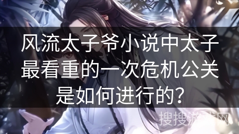 风流太子爷小说中太子最看重的一次危机公关是如何进行的？