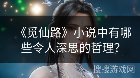 《觅仙路》小说中有哪些令人深思的哲理？