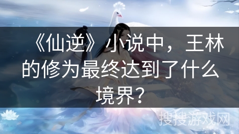 《仙逆》小说中，王林的修为最终达到了什么境界？