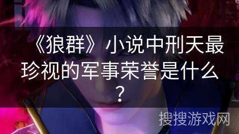 《狼群》小说中刑天最珍视的军事荣誉是什么？