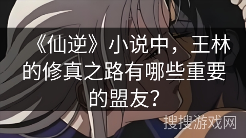 《仙逆》小说中，王林的修真之路有哪些重要的盟友？