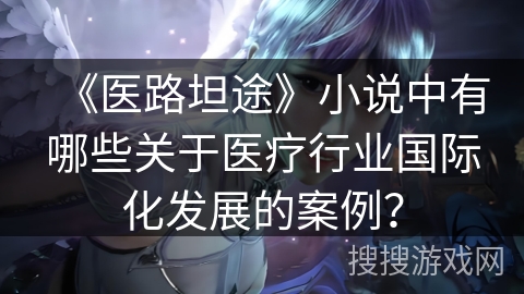 《医路坦途》小说中有哪些关于医疗行业国际化发展的案例？