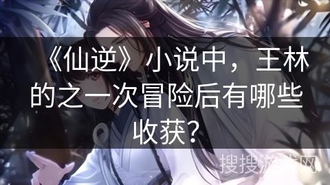 《仙逆》小说中，王林的之一次冒险后有哪些收获？