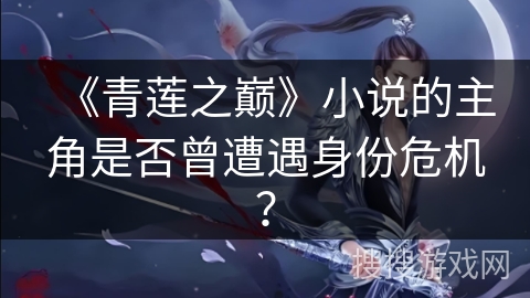 《青莲之巅》小说的主角是否曾遭遇身份危机？