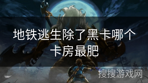 地铁逃生除了黑卡哪个卡房最肥