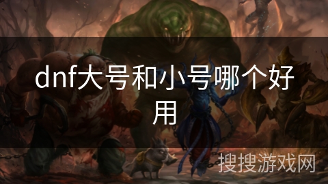 dnf大号和小号哪个好用