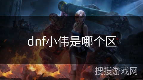 dnf小伟是哪个区
