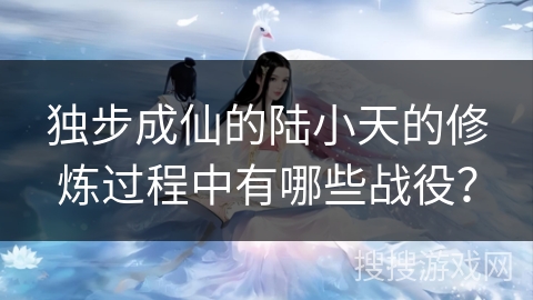 独步成仙的陆小天的修炼过程中有哪些战役？