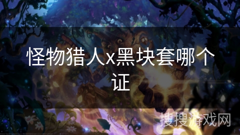 怪物猎人x黑块套哪个证