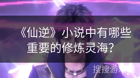 《仙逆》小说中有哪些重要的修炼灵海？