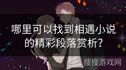 哪里可以找到相遇小说的精彩段落赏析？